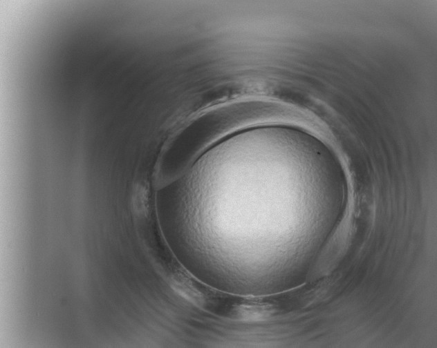 X0000069380556200605262053