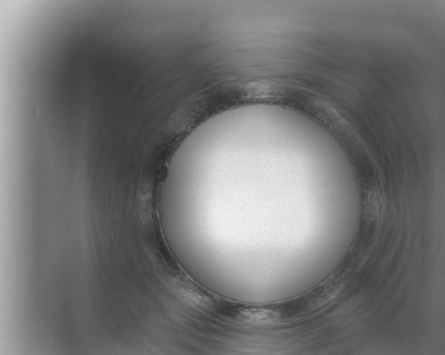 X0000069380557200605262053