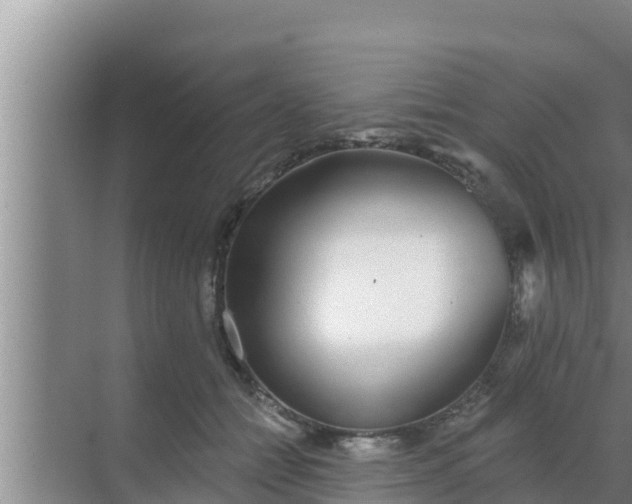 X0000069380558200605262053