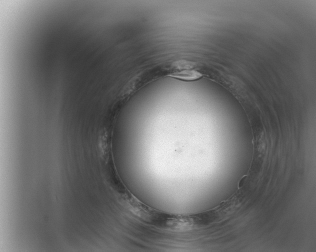 X0000069380559200605262053