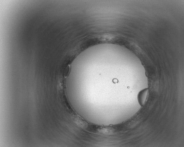 X0000069380561200605262053