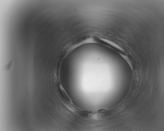 X0000069380564200605262053