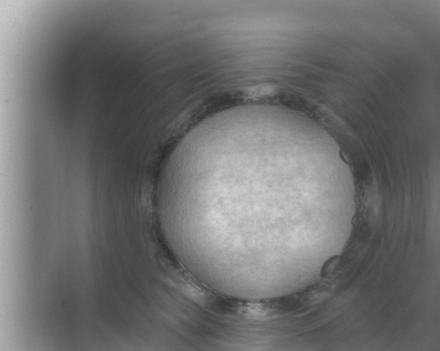 X0000069380565200605262053