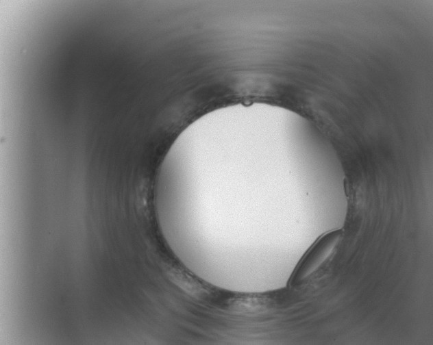 X0000069380567200605262053