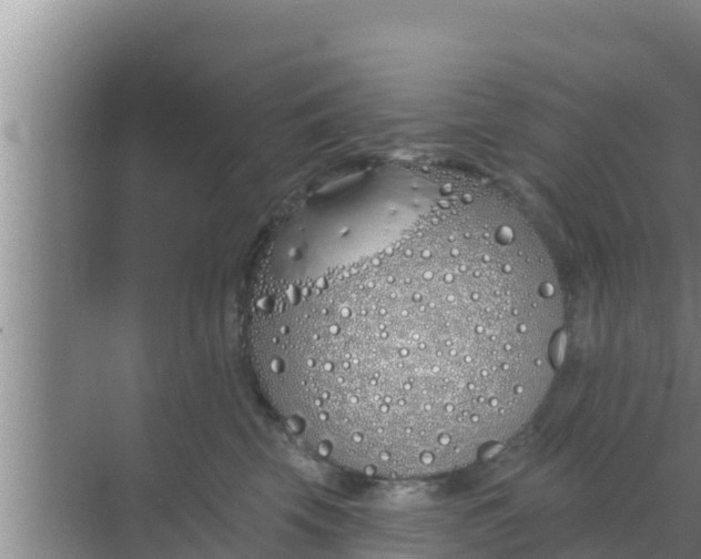 X0000069380569200605262053