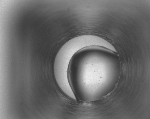 X0000069380570200605262053