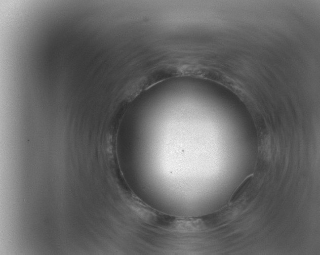 X0000069380571200605262053