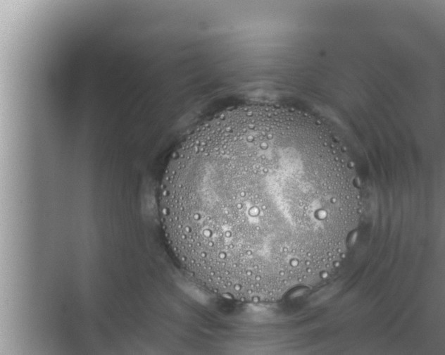 X0000069380573200605262053