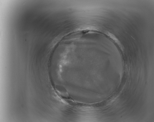 X0000069380577200605262053