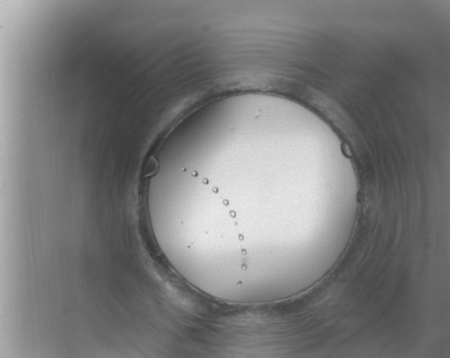 X0000069380578200605262053