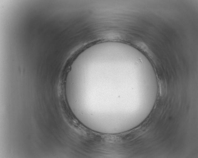 X0000069380579200605262053