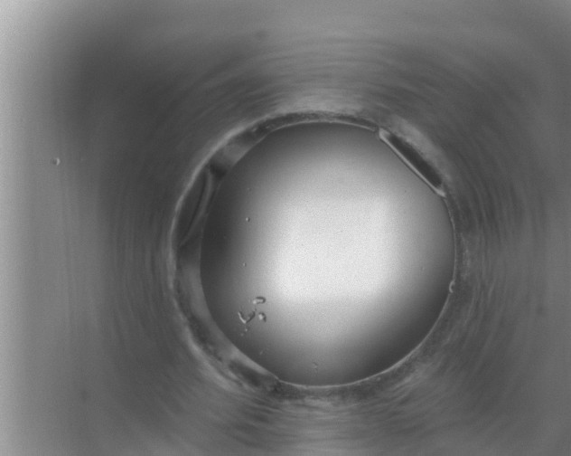 X0000069380580200605262053