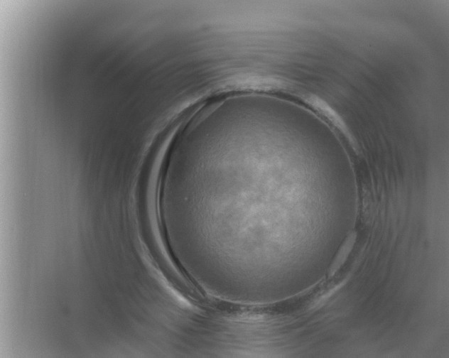 X0000069380581200605262053