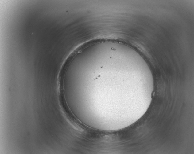 X0000069380584200605262053