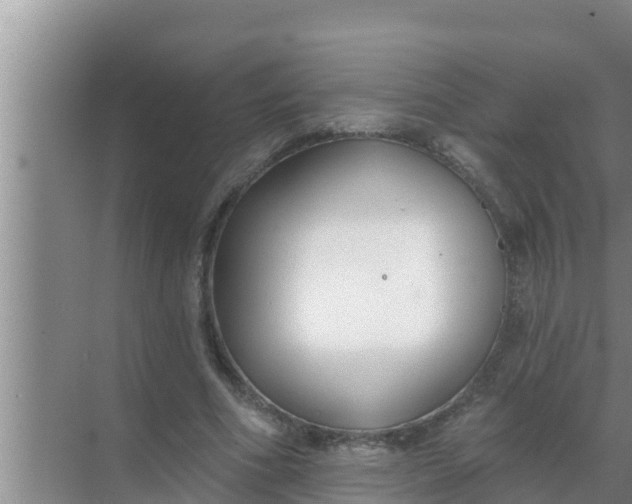 X0000069380586200605262052