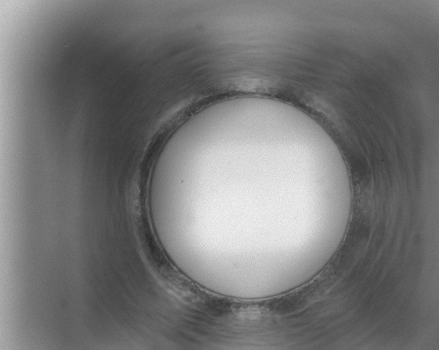 X0000069380587200605262052