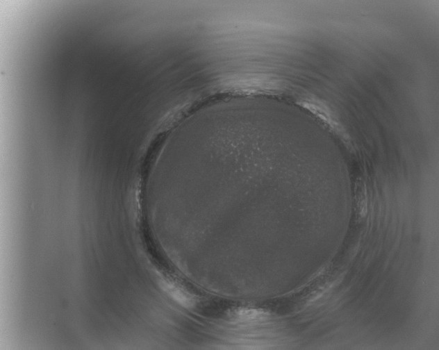 X0000069380590200605262052