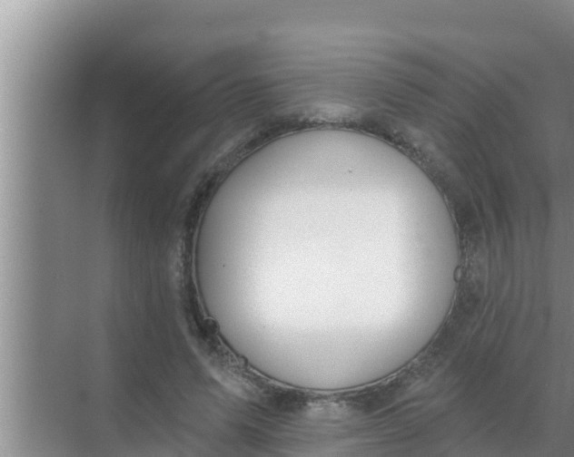 X0000069380591200605262052