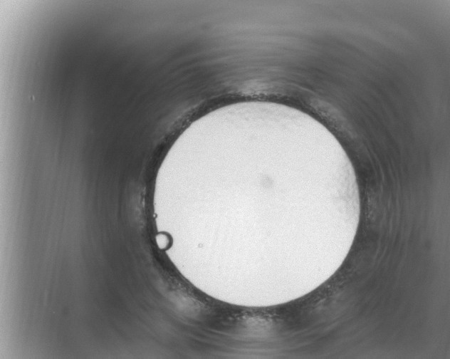 X0000069380592200605262052