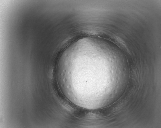 X0000069380596200605262052