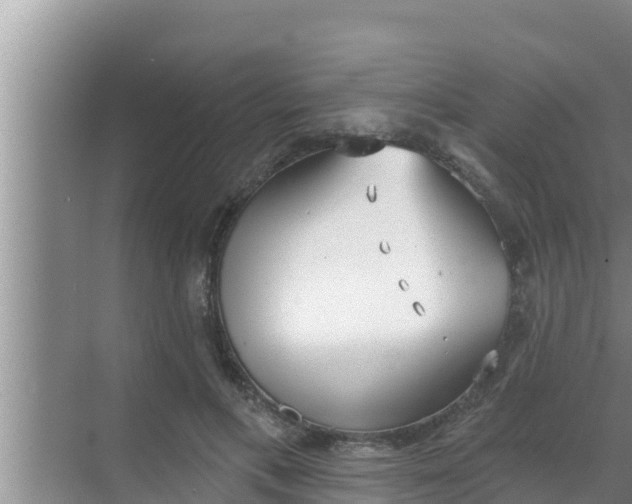 X0000069380597200605262052