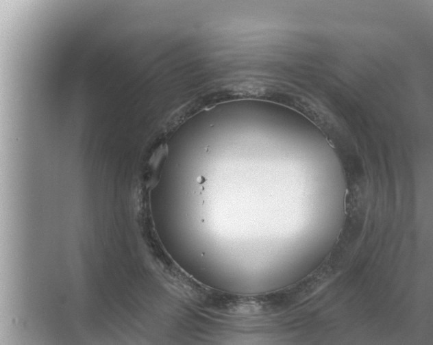 X0000069380600200605262052