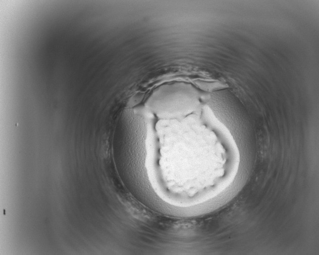 X0000069380606200605262052