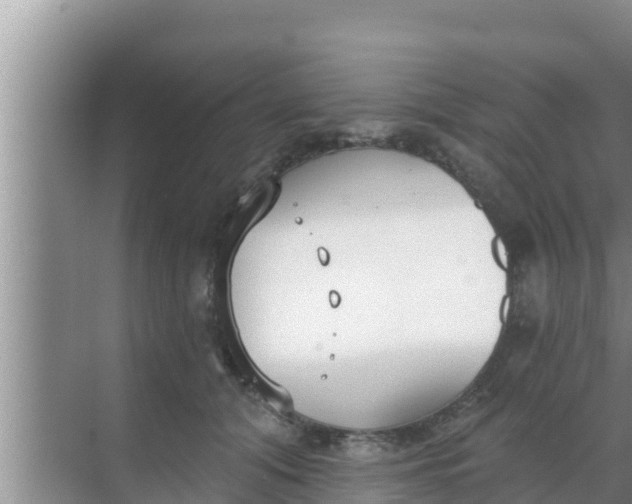 X0000069380608200605262052