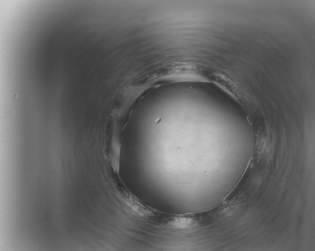 X0000069380609200605262052