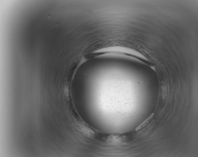 X0000069380613200605262052