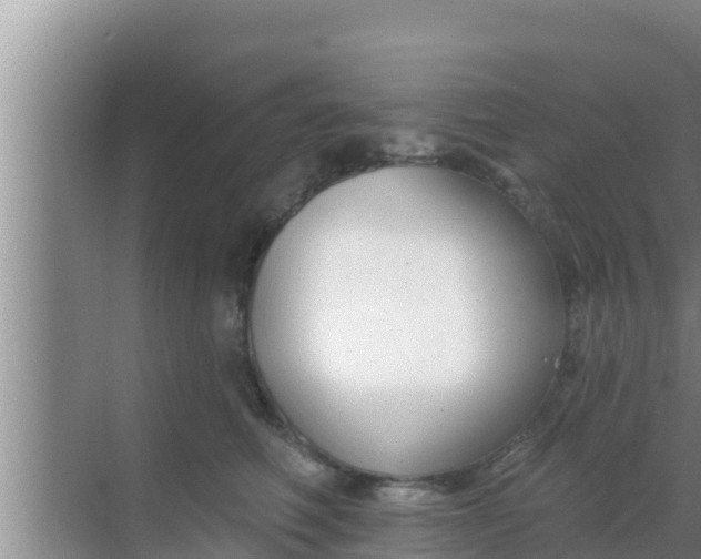 X0000069380614200605262052