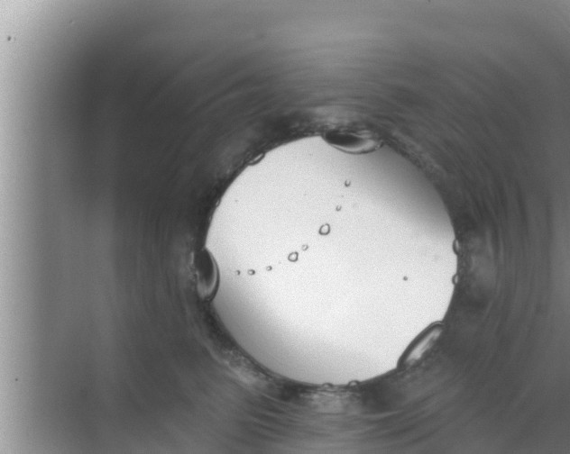 X0000069380615200605262052