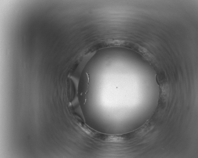 X0000069380617200605262052