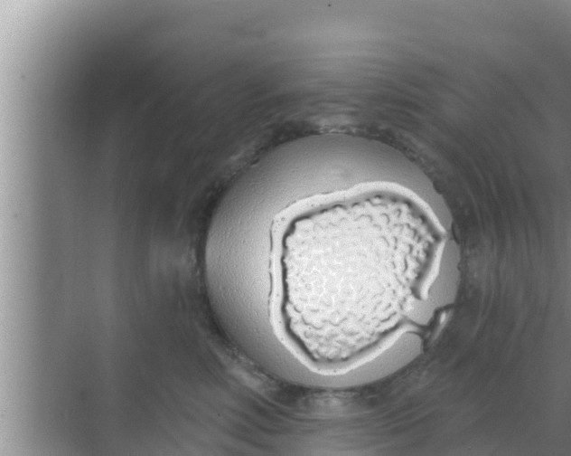 X0000069380618200605262052