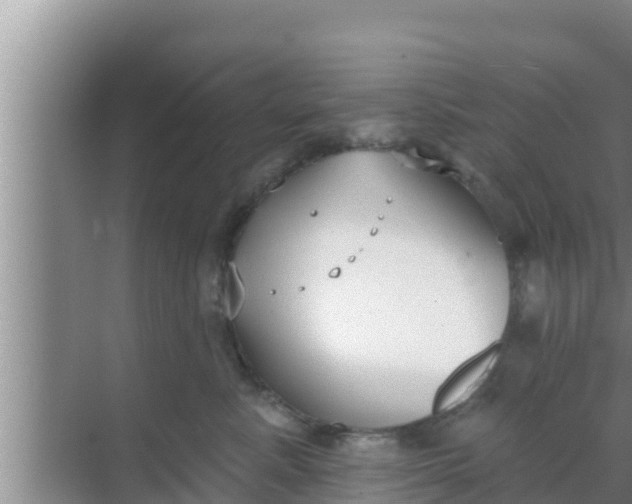 X0000069380619200605262052