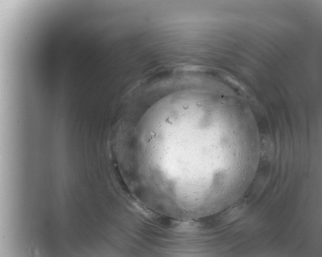 X0000069380621200605262052