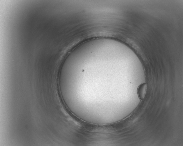 X0000069380625200605262051