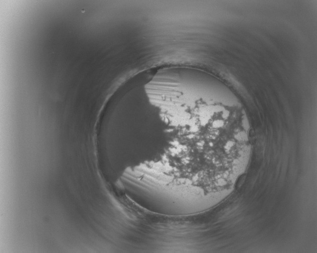 X0000069380626200605262051