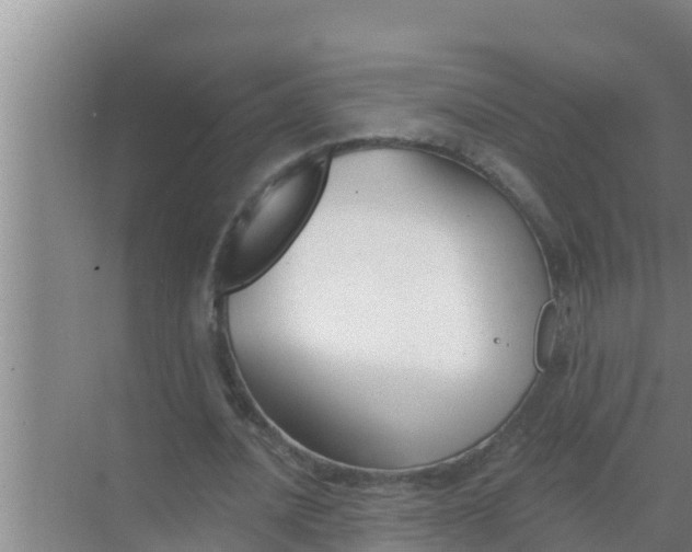 X0000069380628200605262051