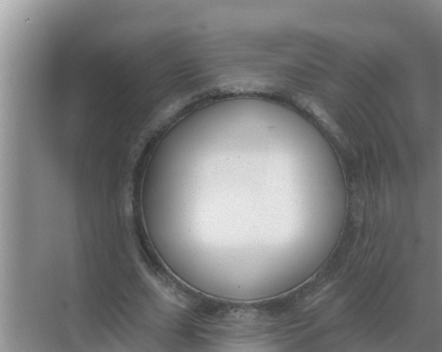 X0000069380631200605262051