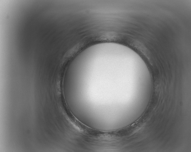 X0000069380633200605262051