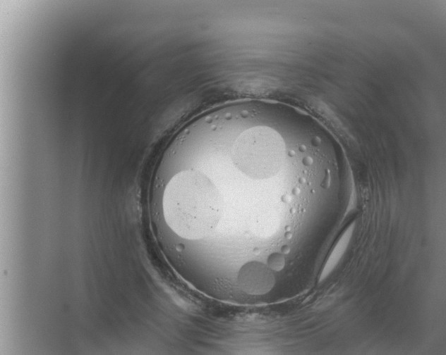 X0000069380634200605262051