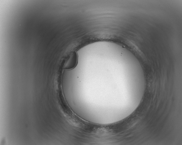 X0000069380635200605262051