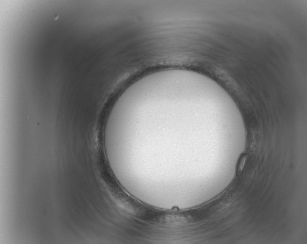 X0000069380636200605262051