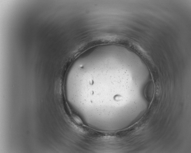 X0000069380637200605262051