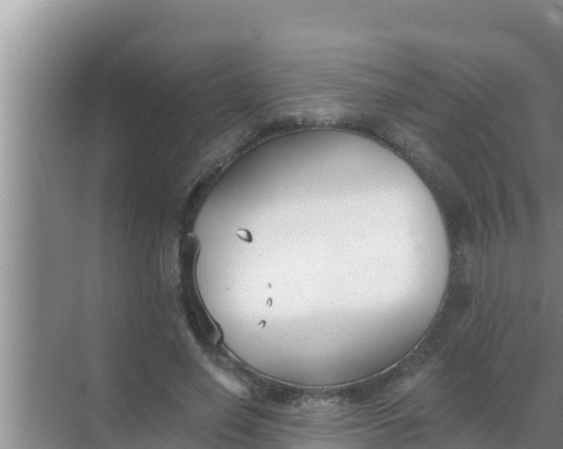 X0000069380638200605262051