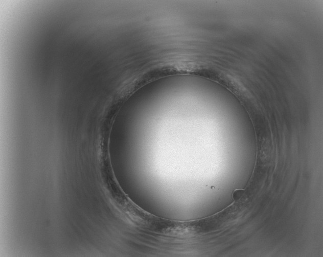 X0000069380639200605262051