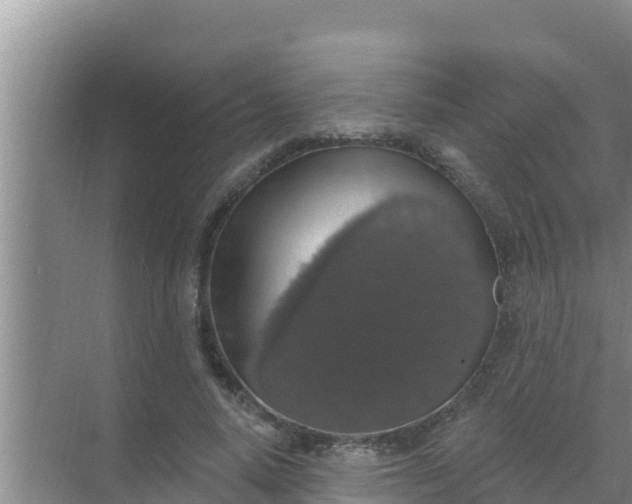 X0000069380640200605262051