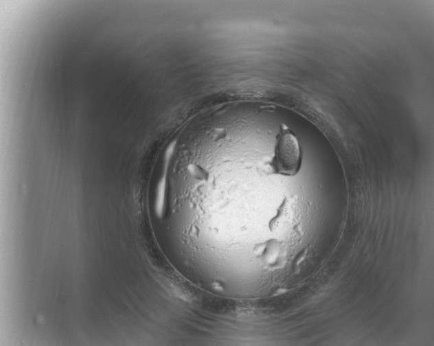 X0000069380641200605262051