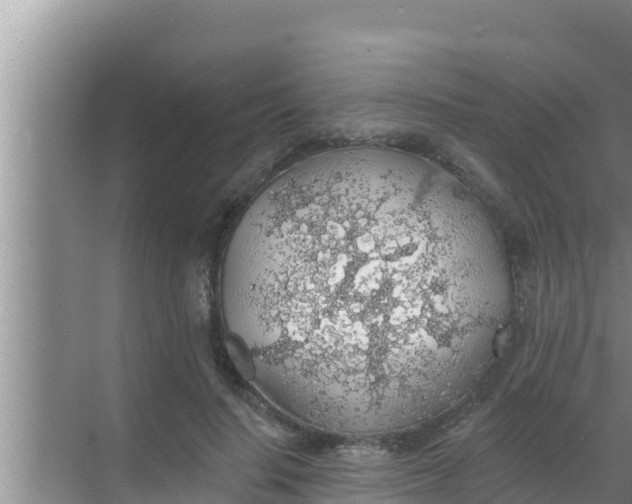 X0000069380644200605262051